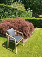 Vier nieuwe massieve houten tuinstoelen, Tuin en Terras, Tuinstoelen, Ophalen, Nieuw, Hout, Stapelbaar