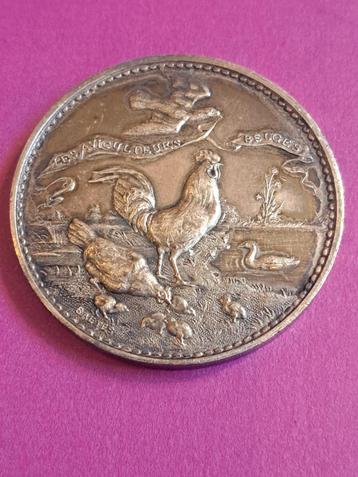 medaille Aviculteurs belges te Brussel, Baetes beschikbaar voor biedingen