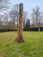 Hout om te doneren tegen kap, Tuin en Terras, Brandhout