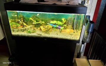 Goed draaiende aquarium met meubel plus toebehoren en vissen beschikbaar voor biedingen