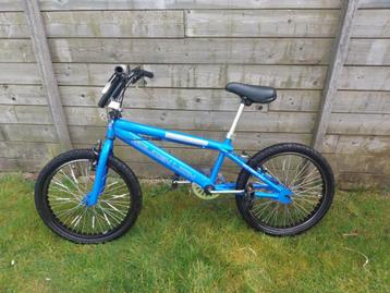 BMX freestyle  20inch golden lion beschikbaar voor biedingen