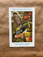 Vogels van België Nr. 137 Goudvink, Ophalen of Verzenden, Ongelopen, Vogel