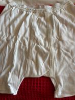 Onderbroek met pijpje, Ophalen of Verzenden, Wit, Slip
