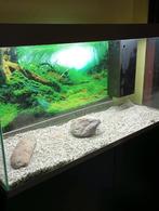 Aquarium complet avec meuble, Enlèvement, Utilisé, Aquarium vide
