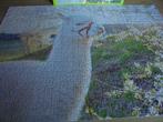 complete alpaca puzzel, Ophalen of Verzenden, 500 t/m 1500 stukjes, Nieuw, Legpuzzel