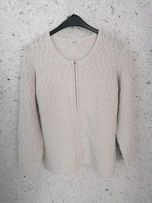 Lichtgrijze trui met rits - nieuw - damart, Kleding | Dames, Blouses en Tunieken, Nieuw, Maat 46/48 (XL) of groter, Grijs, Ophalen