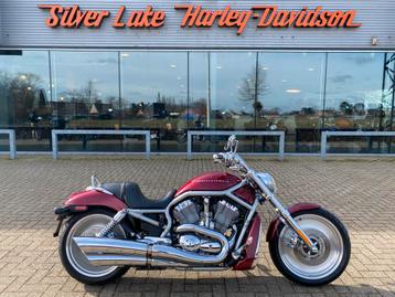 Harley-Davidson V-Rod VRSCA in opdracht van onze klant