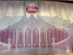 Poster Disney, Verzamelen, Ophalen, Gebruikt, Deurposter of groter, Rechthoekig Liggend