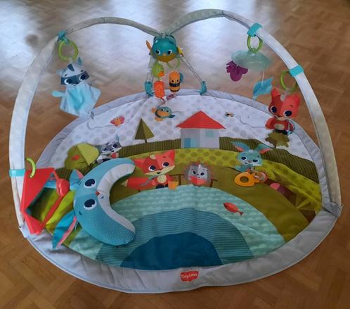 Muzikale baby Speelmat - Tiny Love Dynamic Gymini, Kinderen en Baby's, Speelgoed | Speelkleden, Zo goed als nieuw, Ophalen