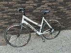Sportieve damesfiets , maat 54, Fietsen en Brommers, Fietsen | Dames | Sportfietsen en Toerfietsen, Ophalen, Zo goed als nieuw