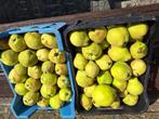 fruit, Ophalen, Nieuw