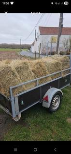 Foin a donné, Animaux & Accessoires