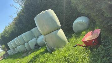 32 bollen hooi beschikbaar voor biedingen