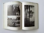 Kunstfotografie rond 1900, Utilisé, Enlèvement ou Envoi, Photographie général
