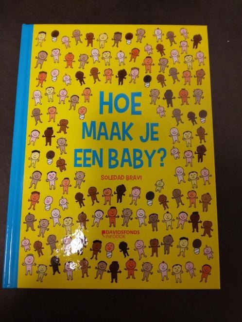 Ludiek boek voor peuters 'Hoe maak je een baby' (Davidsfonds, Kinderen en Baby's, Kraamcadeaus en Geboorteborden, Nieuw, Kraamcadeau