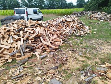 Brandhout eik beschikbaar voor biedingen