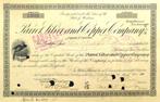 Parrot, Silver and Copper Company 1907, Certificaat van aandeel, Ophalen of Verzenden, Voor 1920