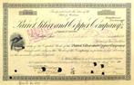 Parrot, Silver and Copper Company 1907, Timbres & Monnaies, Actions & Titres, Certificat d'action, Enlèvement ou Envoi, Avant 1920