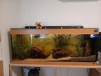 Juwel aquarium, Dieren en Toebehoren, Vissen | Aquaria en Toebehoren, Ophalen, Zo goed als nieuw, Gevuld zoetwateraquarium
