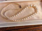 Collier vintage pearl, Bijoux, Sacs & Beauté, Colliers, Enlèvement ou Envoi, Utilisé, Blanc, Avec strass