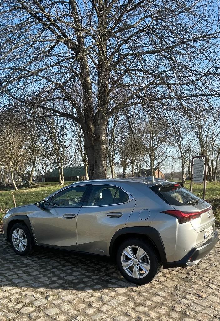 Lexus UX 250h, Autos, Lexus, Particulier, UX, Hybride Électrique/Essence, SUV ou Tout-terrain, 5 portes, Automatique, Argent ou Gris
