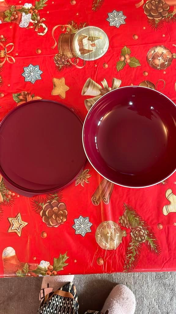 Allegra schaal 740 ml bordeaux/wit, Huis en Inrichting, Keuken | Tupperware, Nieuw, Schaal, Wit, Ophalen of Verzenden