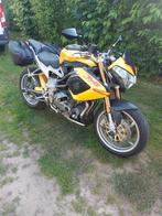 Benelli tnt 1130, Motoren, Particulier