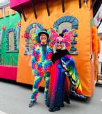 Vlinders, Kleding | Heren, Carnavalskleding en Feestkleding, Ophalen