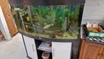 Aquarium, Dieren en Toebehoren, Ophalen