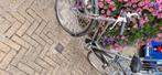 Damesfiets te koop, Fietsen en Brommers, Gebruikt, Versnellingen, 50 tot 53 cm, Ophalen