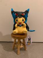 Nieuwe knuffel pikachu x Charizard pokemon