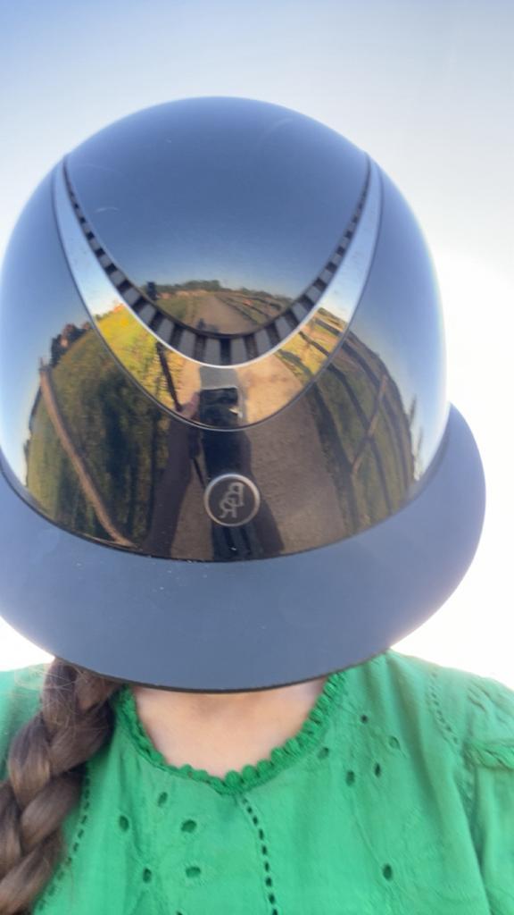 (Wedstrijd)Groom aangeboden, Dieren en Toebehoren, Paarden