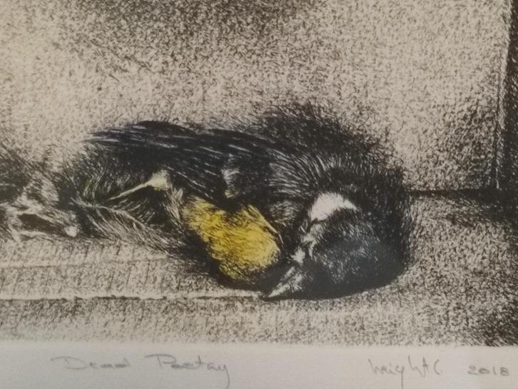 Ets Cindy Wright, Antiek en Kunst, Kunst | Etsen en Gravures, Ophalen