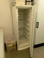koelkast Friac, Elektronische apparatuur, Koelkasten en IJskasten, Ophalen, Gebruikt, 140 tot 160 cm, 45 tot 60 cm