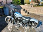 Sporster Iron 883, Motos, Motos | Harley-Davidson, Particulier