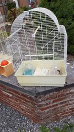 Cages à oiseaux, Animaux & Accessoires, Autres matériaux, Enlèvement, Utilisé, Cage à oiseaux