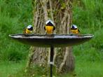 Vogelbad met 3 Vogeltjes - Tuinsteker - Metaal, Tuin en Terras, Ophalen of Verzenden