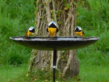 Vogelbad met 3 Vogeltjes - Tuinsteker - Metaal beschikbaar voor biedingen