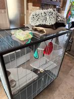 Fretkooi, Ophalen, Zo goed als nieuw