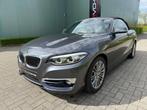 BMW 218 d Cabrio Aut / 1 Eig / Full / Nieuwstaat!, Automaat, 4 cilinders, Leder, Bedrijf