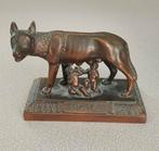 Romeinse Wolf, Ophalen of Verzenden