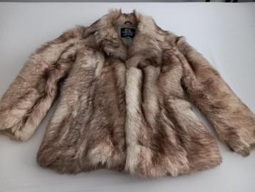 Kort pelzen jas wolf beschikbaar voor biedingen