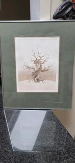 louette desire  gravure, Ophalen of Verzenden