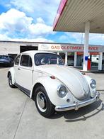 Vw coccinelle 1200 bwj 1967 gerestaureerd gekeurd + garantie, Auto's, 4 zetels, Achterwielaandrijving, 4 cilinders, Beige