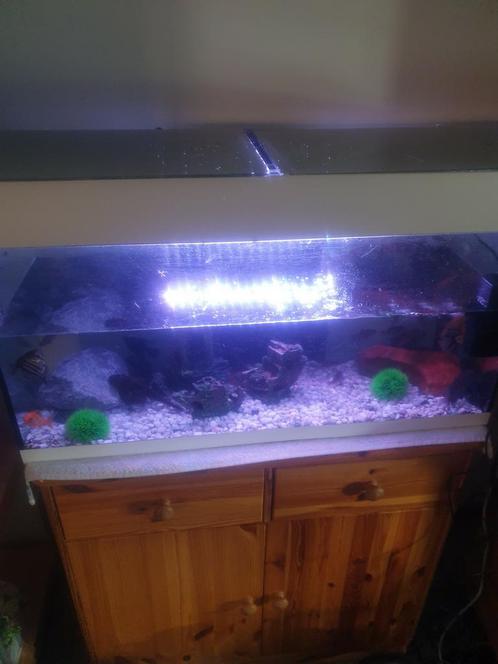 SOLDEN t.k. mooi aquarium met ledverlichting  !!, Dieren en Toebehoren, Vissen | Aquaria en Toebehoren, Zo goed als nieuw, Ophalen