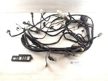 Pegaso 650 1992 - 2005 Aprilia Kabelboom D1-39245 beschikbaar voor biedingen