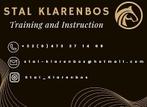 Professionele Paardentraining & Lessen – Van Beginner tot Na, Dieren en Toebehoren, Zadelmak