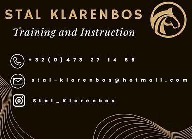 Professionele Paardentraining & Lessen – Van Beginner tot Na, Dieren en Toebehoren, Paarden, Zadelmak