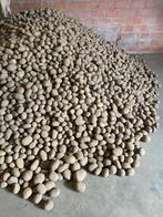 Aardappelen (Frieslander), Zakelijke goederen, Landbouw | Aardappelen, Groenten, Fruit en Vlees, Ophalen