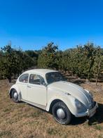 VW kever 1965 met schuifdak., Auto's, Volkswagen, Beetle (Kever), Particulier, Te koop, Benzine